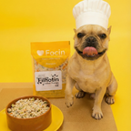 Filhotin de Frango (250g)